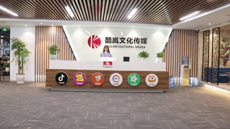 文化传媒营业执照办理步骤全解析**